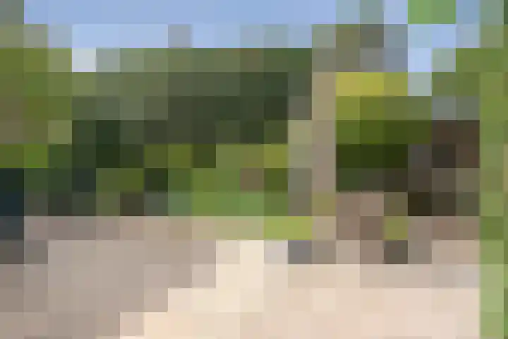 Van den Vondellaan 14 Driehuis NH thumbnail 16