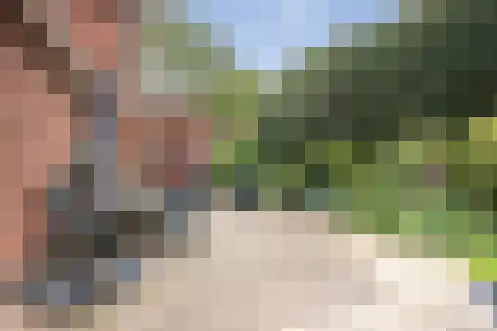 Van den Vondellaan 14 Driehuis NH thumbnail 17