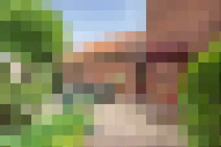 Van den Vondellaan 14 Driehuis NH thumbnail 20