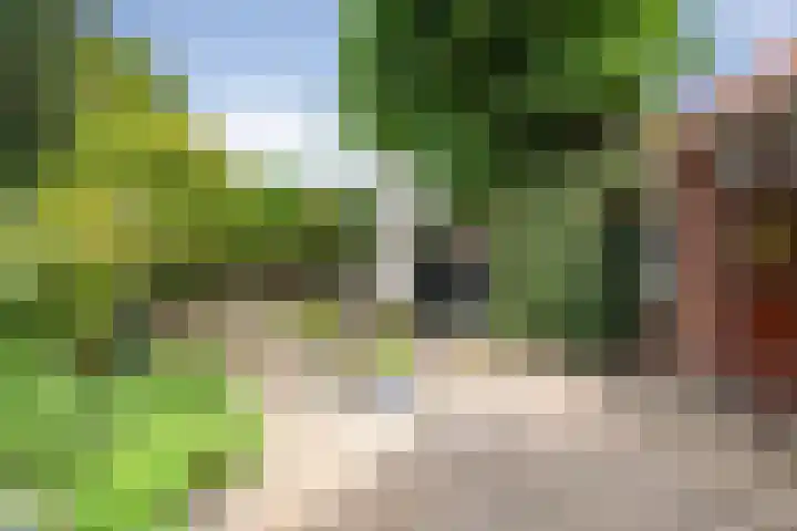 Van den Vondellaan 14 Driehuis NH thumbnail 21