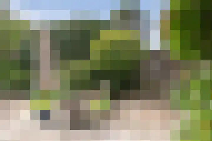 Van den Vondellaan 14 Driehuis NH thumbnail 22