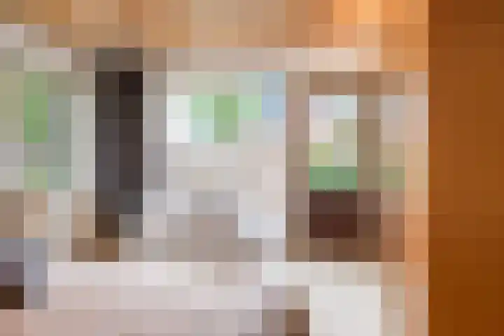 Van den Vondellaan 14 Driehuis NH thumbnail 32