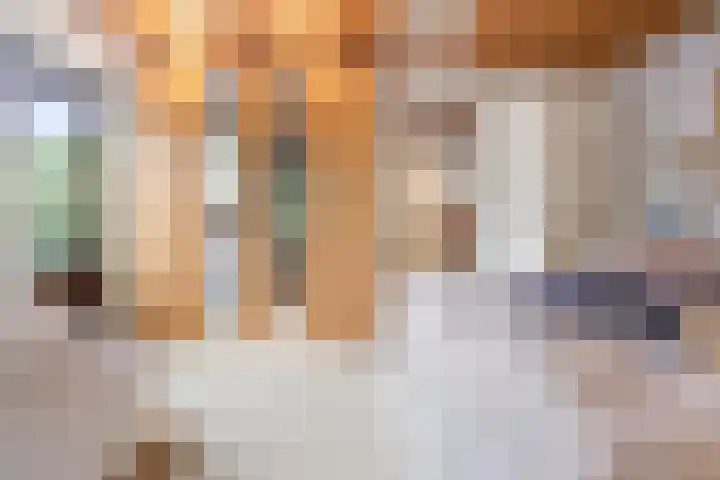 Van den Vondellaan 14 Driehuis NH thumbnail 33