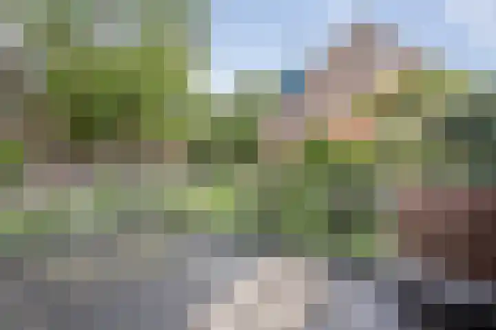 Van den Vondellaan 14 Driehuis NH thumbnail 34