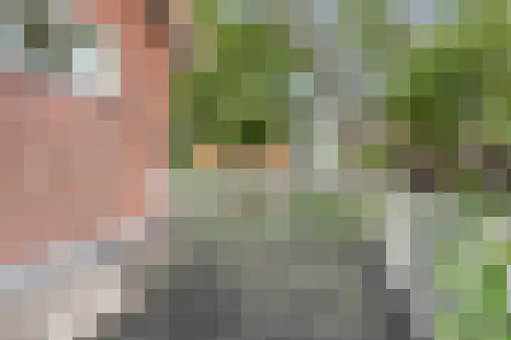 Van den Vondellaan 14 Driehuis NH thumbnail 35