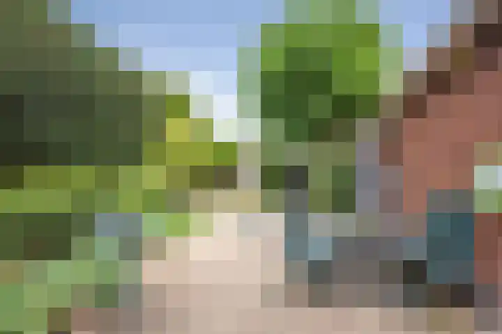 Van den Vondellaan 14 Driehuis NH thumbnail 4