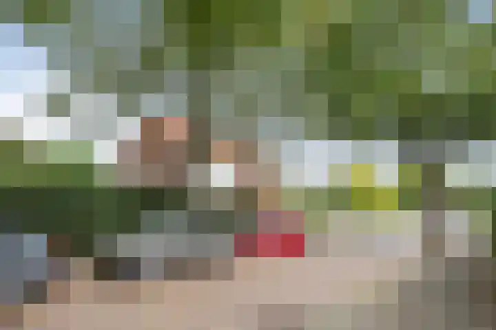 Van den Vondellaan 14 Driehuis NH thumbnail 50