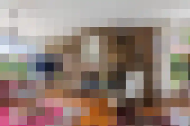 Van den Vondellaan 14 Driehuis NH thumbnail 6