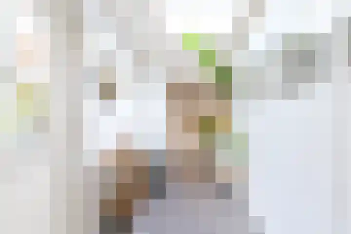 Van den Vondellaan 16 Driehuis NH thumbnail 11