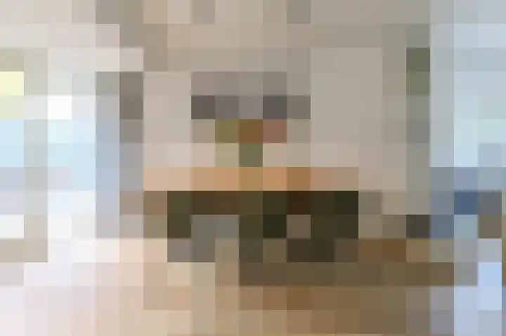 Van den Vondellaan 16 Driehuis NH thumbnail 12