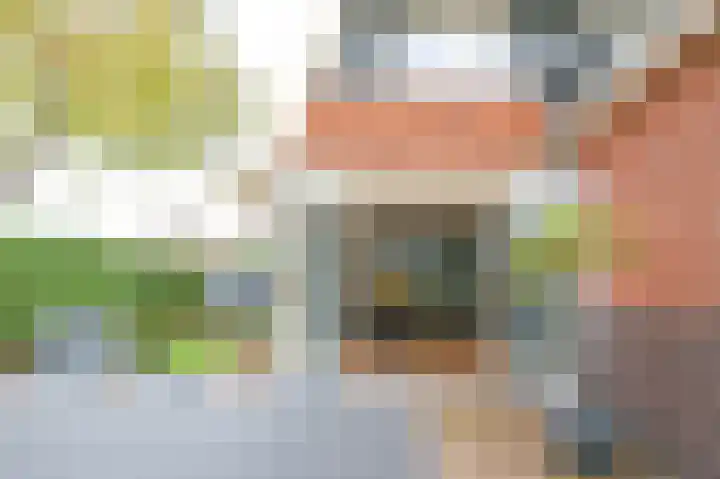 Van den Vondellaan 16 Driehuis NH thumbnail 15