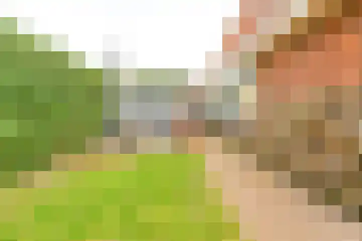 Van den Vondellaan 16 Driehuis NH thumbnail 16