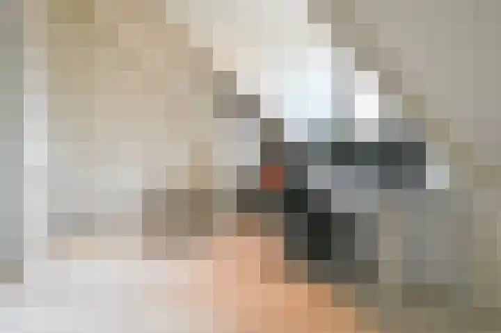 Van den Vondellaan 16 Driehuis NH thumbnail 32