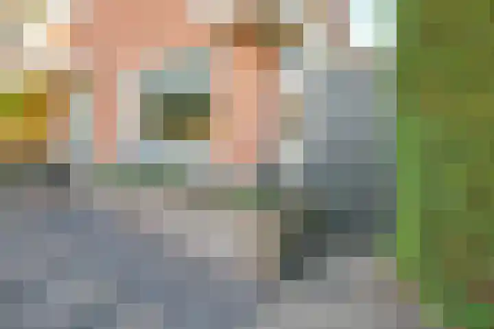 Van den Vondellaan 16 Driehuis NH thumbnail 39
