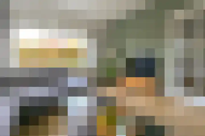 Van den Vondellaan 16 Driehuis NH thumbnail 5