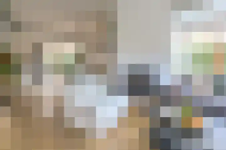Van den Vondellaan 16 Driehuis NH thumbnail 6