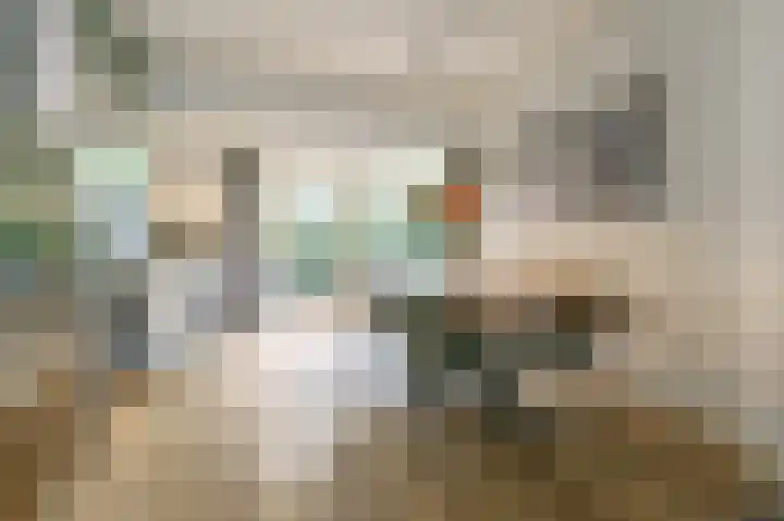 Van den Vondellaan 16 Driehuis NH thumbnail 7