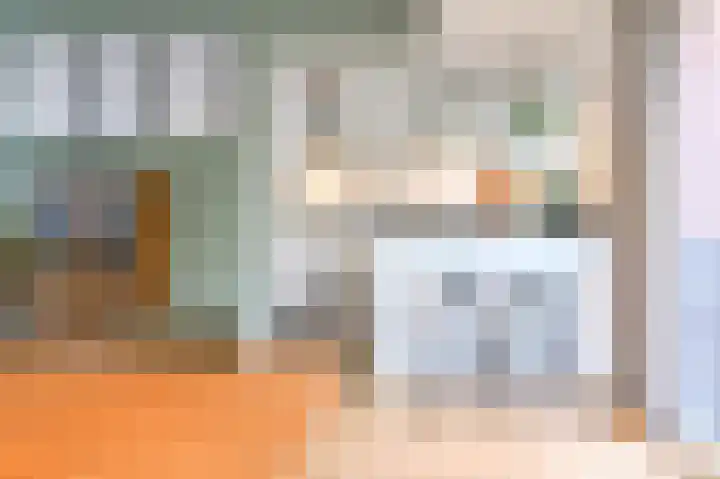 Van den Vondellaan 16 Driehuis NH thumbnail 8