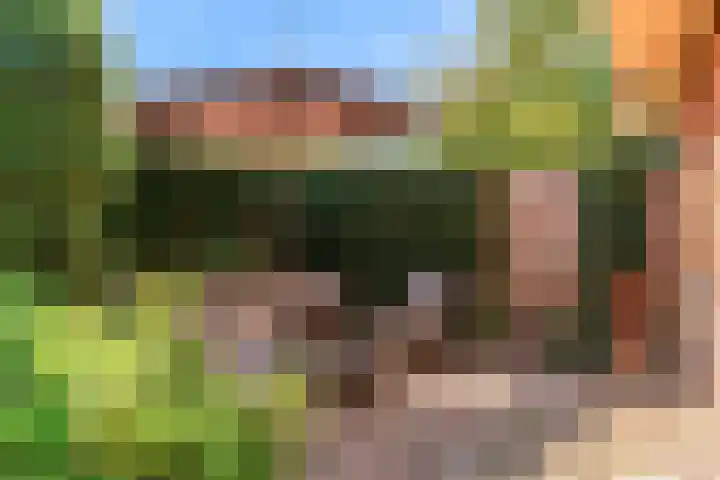 Van den Vondellaan 33 Driehuis NH thumbnail 27