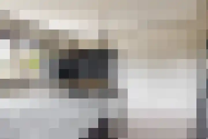 Van den Vondellaan 33 Driehuis NH thumbnail 39