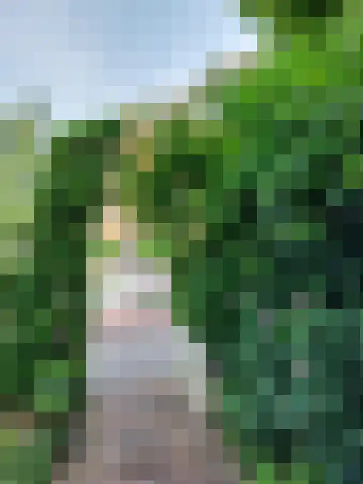 Van den Vondellaan 33 Driehuis NH thumbnail 8