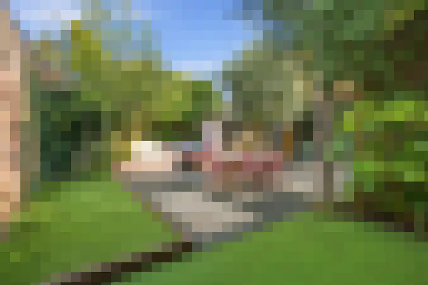Van den Vondellaan 34 Driehuis NH thumbnail 30