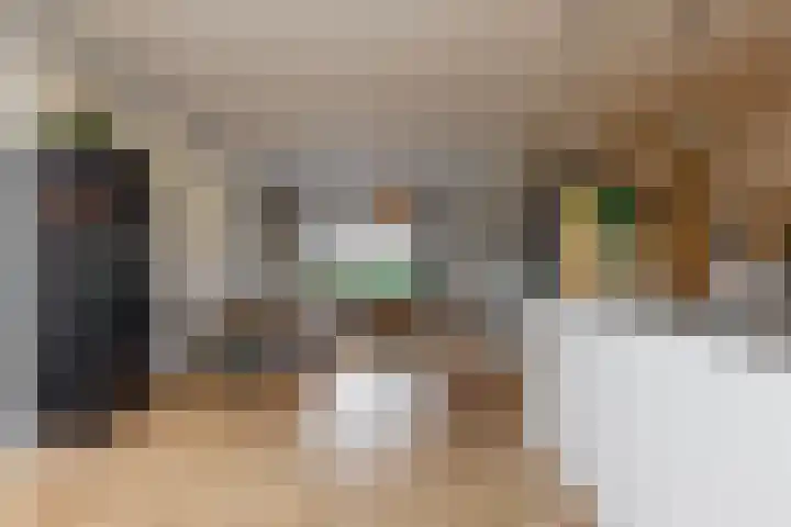 Van den Vondellaan 38 Driehuis NH thumbnail 10