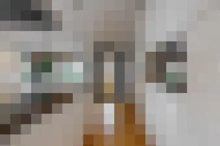 Van den Vondellaan 38 Driehuis NH thumbnail 12