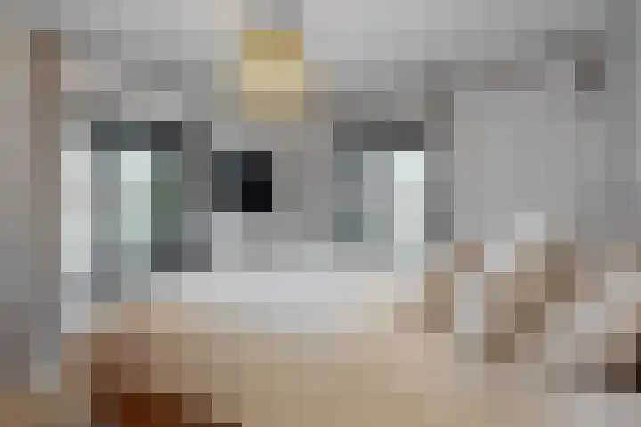 Van den Vondellaan 38 Driehuis NH thumbnail 31