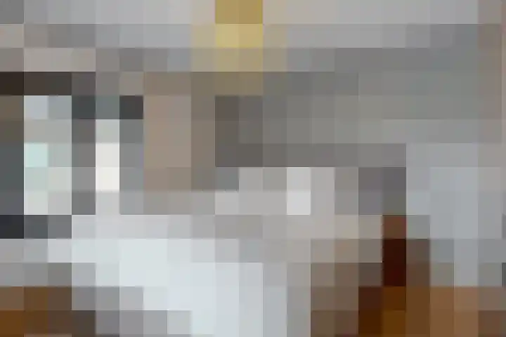 Van den Vondellaan 38 Driehuis NH thumbnail 32
