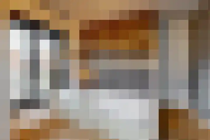 Van den Vondellaan 38 Driehuis NH thumbnail 38