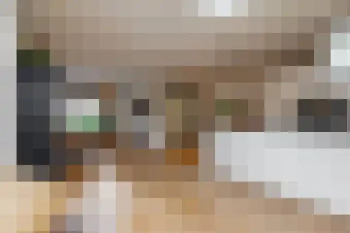 Van den Vondellaan 38 Driehuis NH thumbnail 4