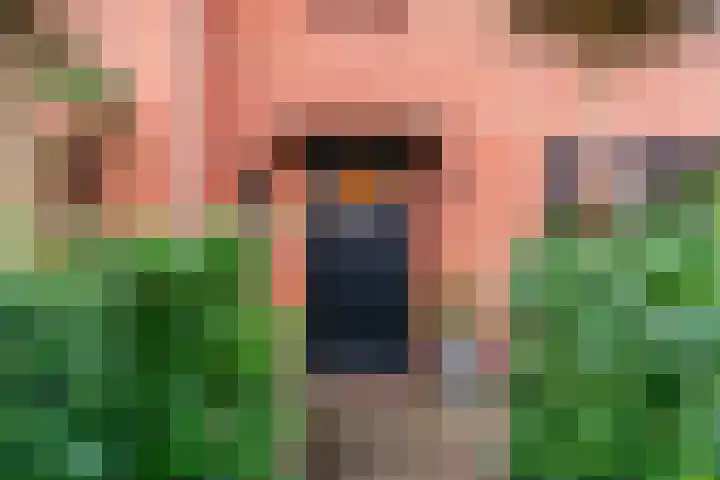 Van den Vondellaan 38 Driehuis NH thumbnail 5