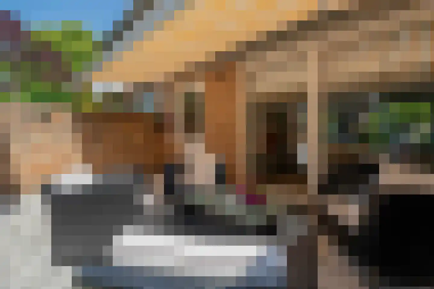Van den Vondellaan 48 Driehuis NH thumbnail 20