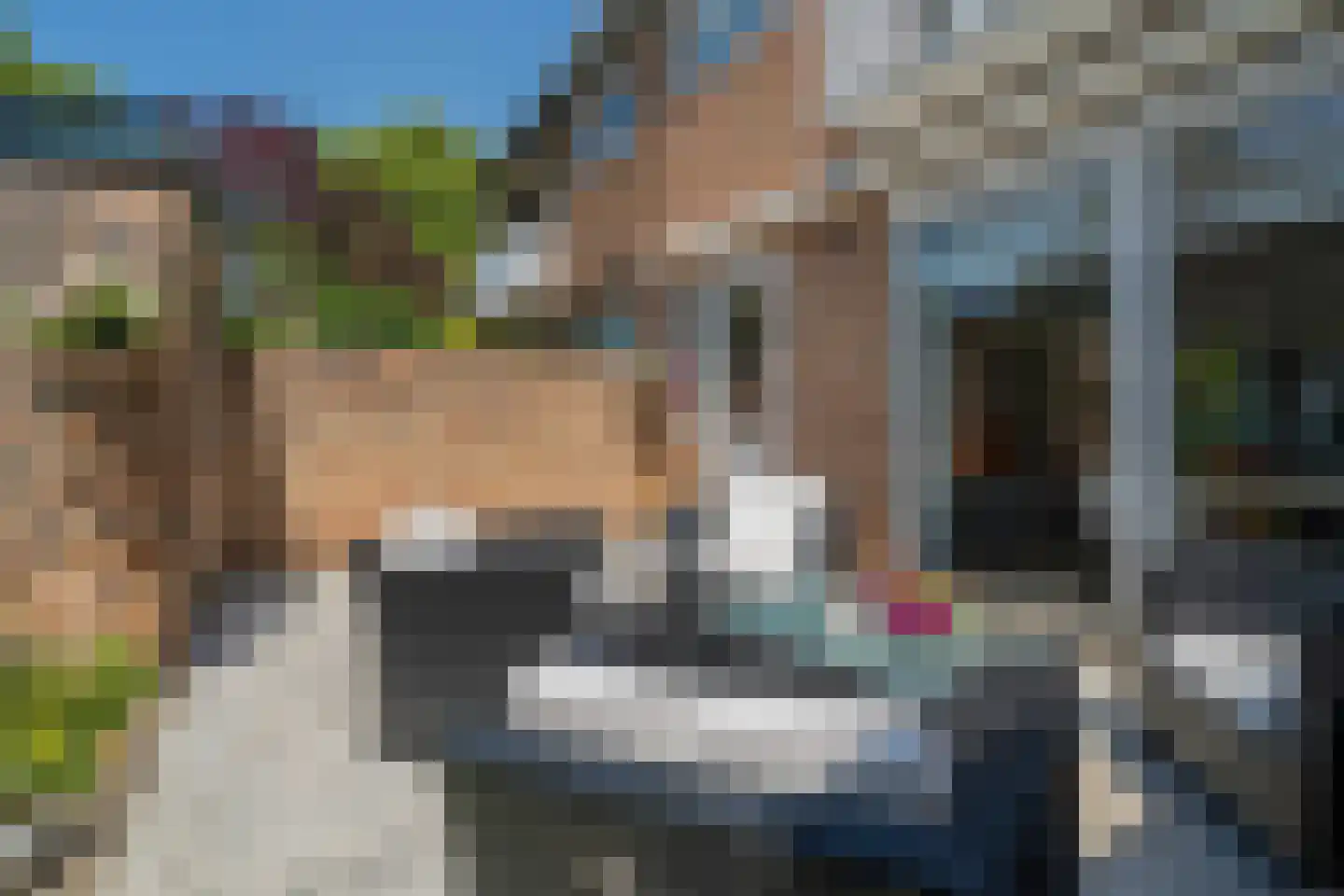 Van den Vondellaan 48 Driehuis NH thumbnail 23