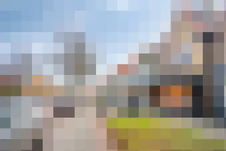 Van den Vondellaan 50 Driehuis NH thumbnail 35