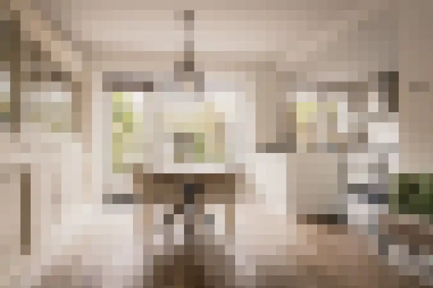 Van den Vondellaan 58 Driehuis NH thumbnail 11
