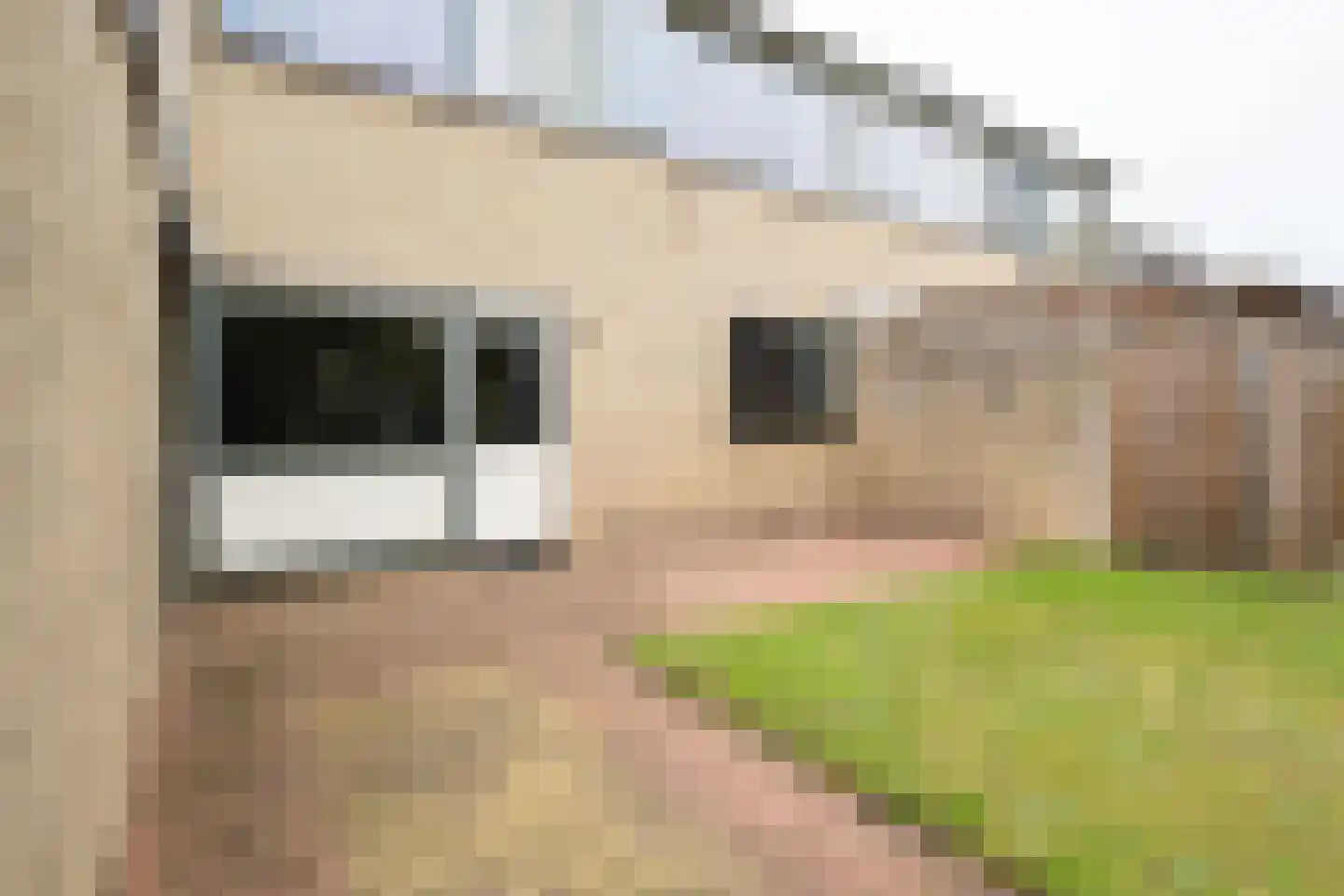 van den Vondelstraat 10 Goor thumbnail 29