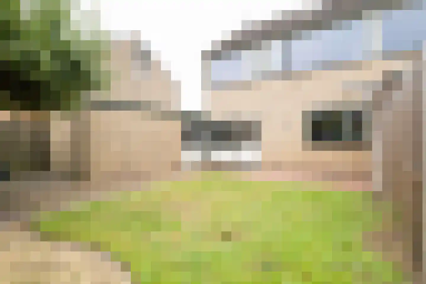 van den Vondelstraat 10 Goor thumbnail 30