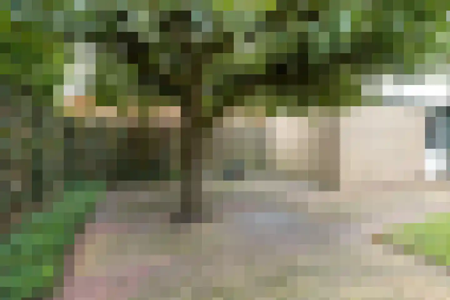 van den Vondelstraat 10 Goor thumbnail 32