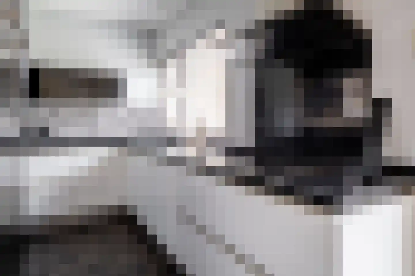van den Vondelstraat 10 Goor thumbnail 4