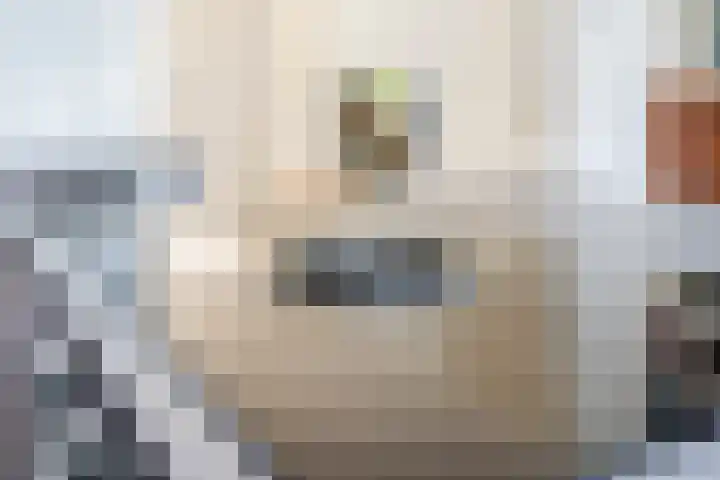 Van den Waarsenburglaan 15 Nuenen thumbnail 12