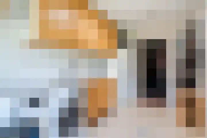 Van den Waarsenburglaan 15 Nuenen thumbnail 16