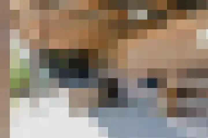 Van den Waarsenburglaan 15 Nuenen thumbnail 19