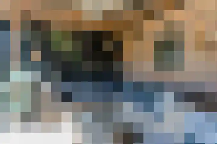 Van den Waarsenburglaan 15 Nuenen thumbnail 20