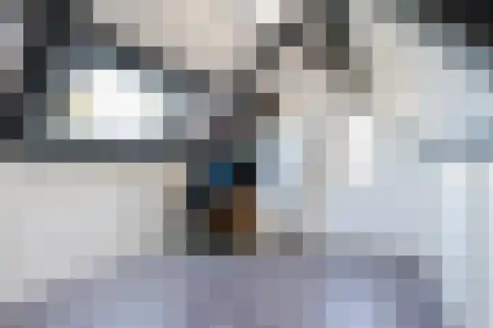 Van den Waarsenburglaan 15 Nuenen thumbnail 29