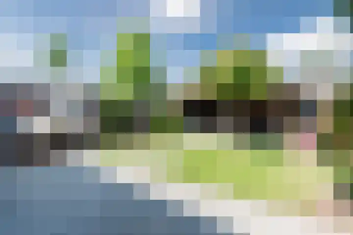 Van den Waarsenburglaan 15 Nuenen thumbnail 4