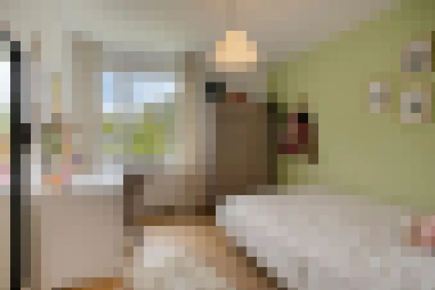 Van den Wijghaertstraat 32 Vught thumbnail 34