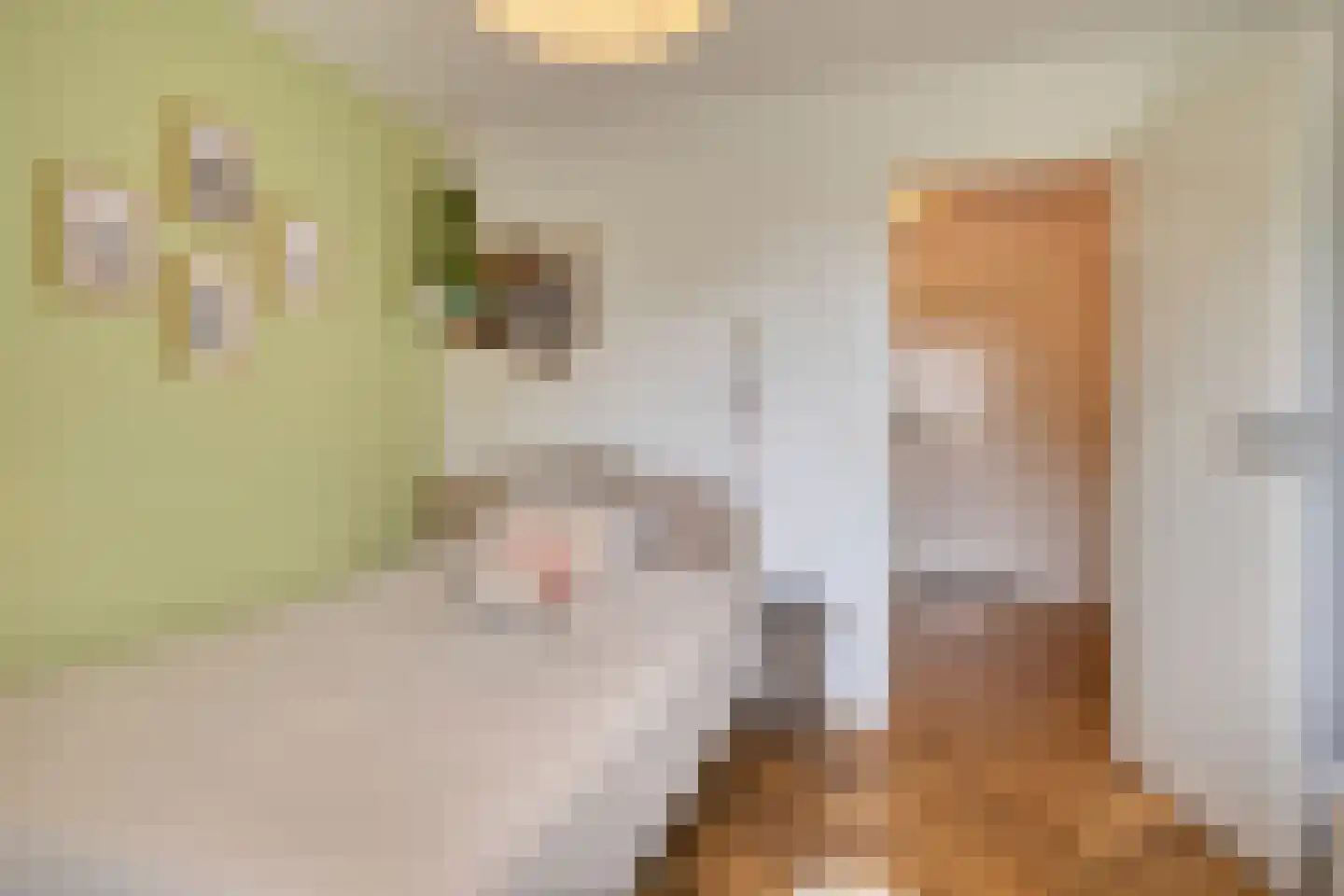 Van den Wijghaertstraat 32 Vught thumbnail 35