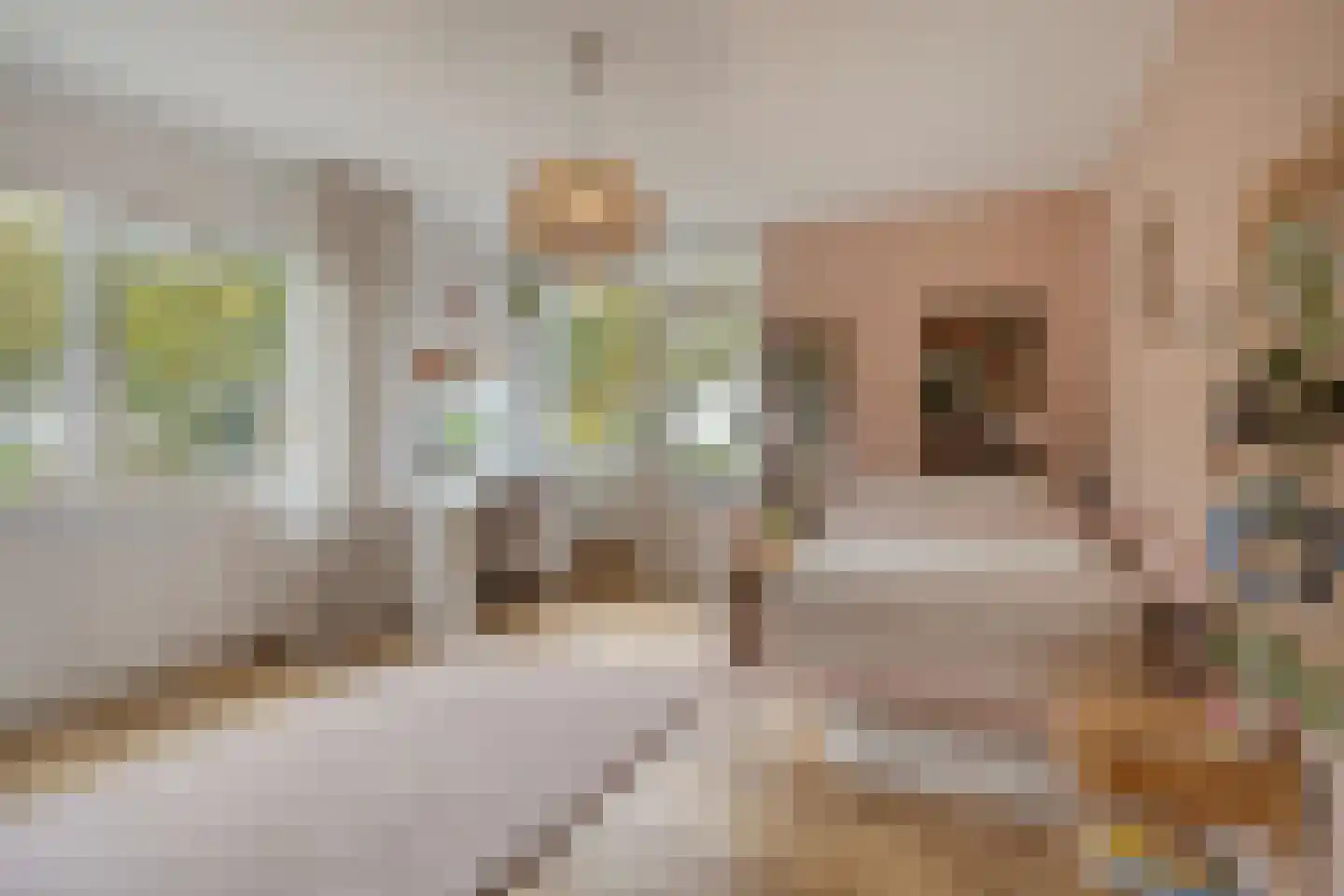 Van den Wijghaertstraat 32 Vught thumbnail 39